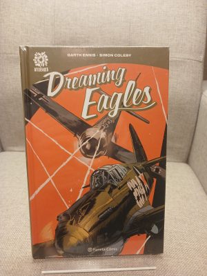 Dreaming Eagles