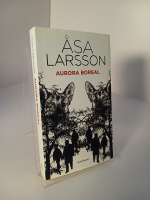Aurora boreal