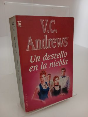 Portada de Un destello en la niebla