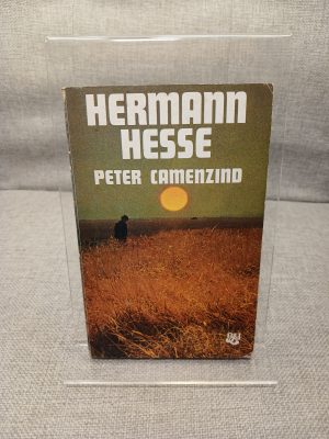 Peter Camenzind A Novel