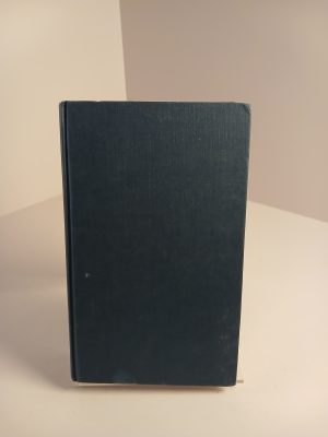 Los versos Satanicos novela